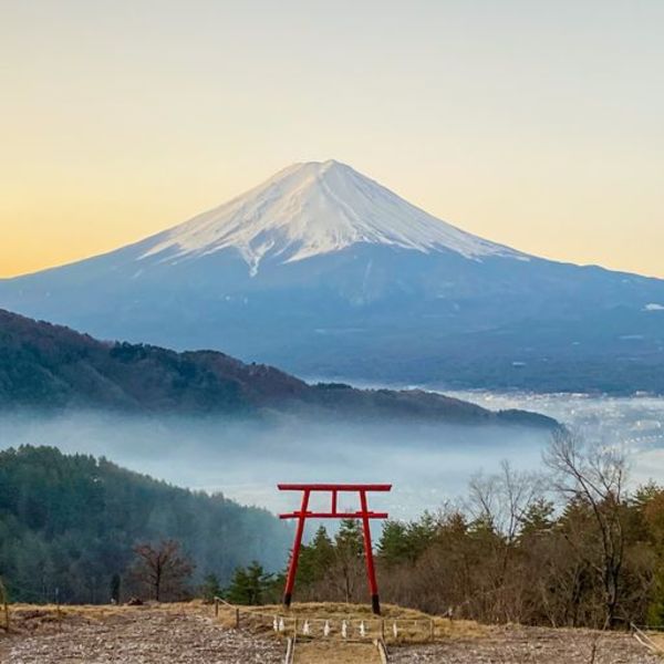 3月23日【霊峰富士を望む三社めぐり】ツアー開催のお知らせ